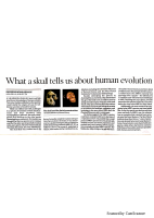new discovery.pdf